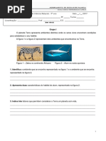 Teste Nee 5º Ano Solo