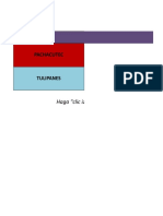 Base de Datos Oficial 