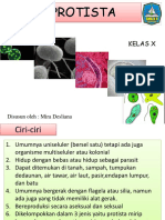 Protista