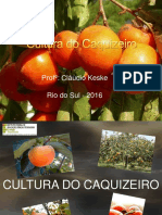 Caquizeiro