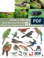 Aves y Herpetos de Bitaco