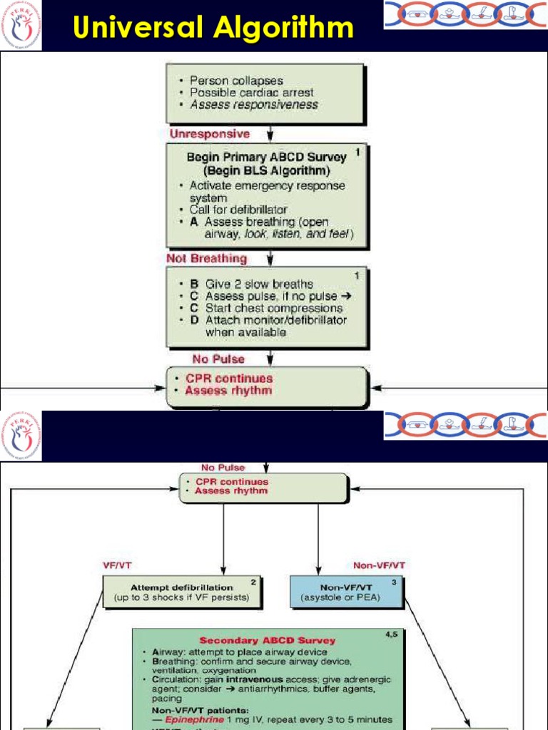 VF-VT Algorithm | Download Free PDF | Cardiopulmonary Resuscitation ...