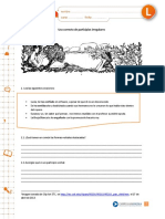 Uso Correcto de Participios