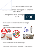 Normas em Laboratório de Microbiologia - PPTX AULA 6