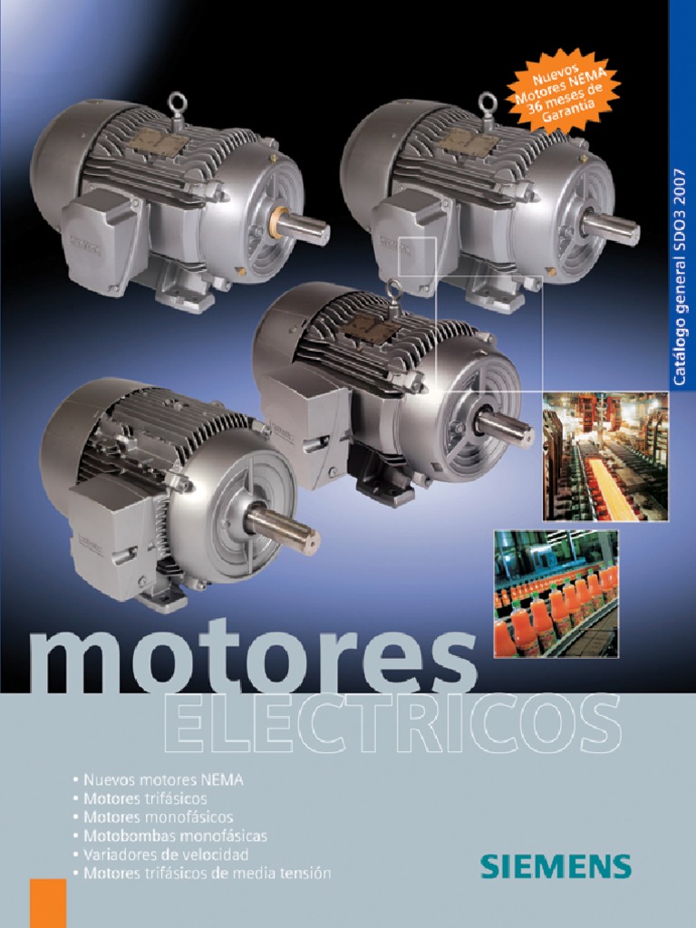 Generador Diésel Monofásico, 110 - 220V~50/60Hz, Motor Diesel de 9.0 HP  TOTAL, (6 meses)