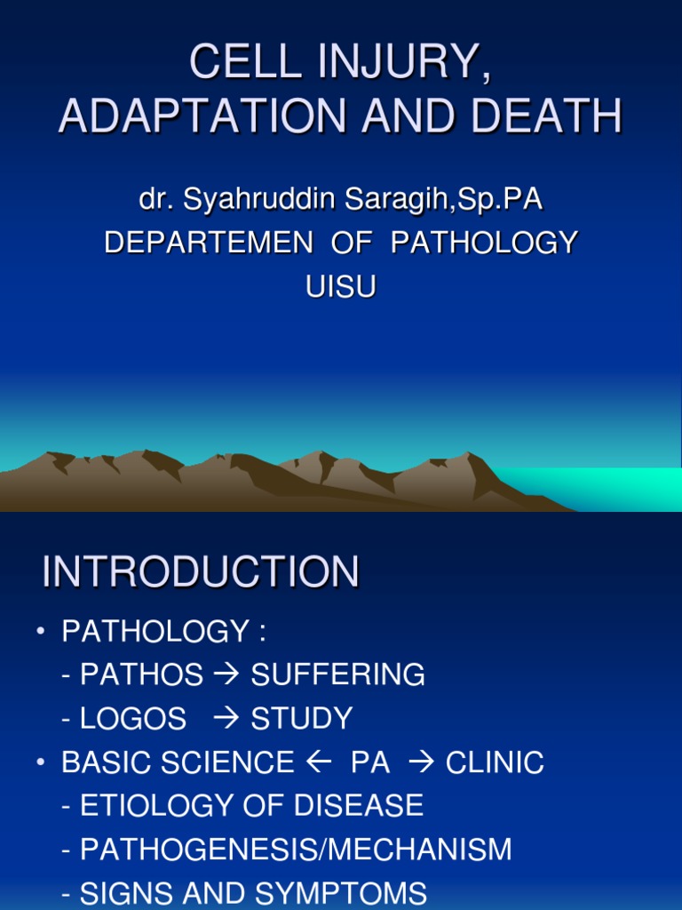 Cell Injury, Adaptation and Death: A Comprehensive Overview of the ...