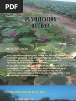 Planificacion Avance