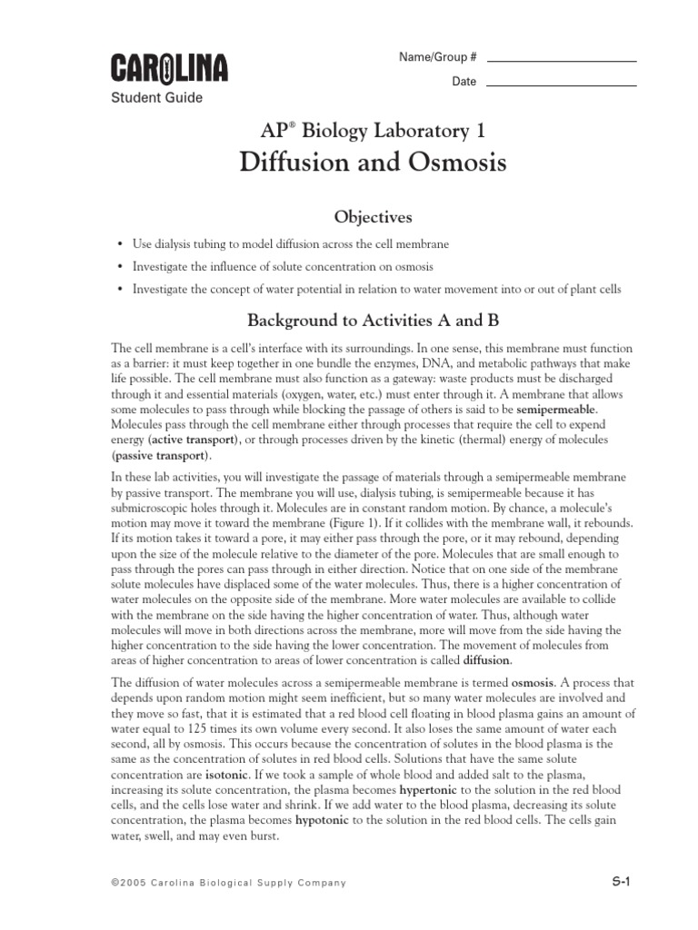 Is osmosis active or passive picture