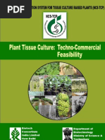 Download Plant Tissue Culture Techno-Commercial Feasibility by everboleh SN36496682 doc pdf