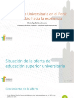 Diagnostico de La Educacion Universitaria 13.07.16