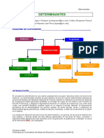 Determinantes (1).pdf