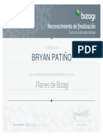 Bryan Patiño Planes de Bizagi