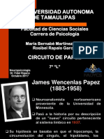 Circuito Papez