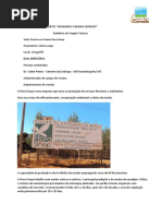 5 Relatorio Visita Tecnica Viveiro Sinop Ok