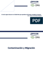 Contaminación y migración.pptx