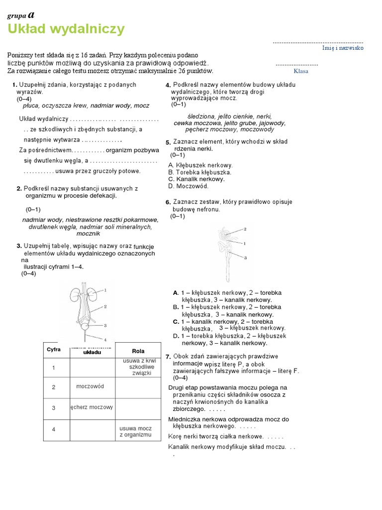 Układ Wydalniczy Kl 7 Test