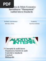 power Audit Intern.pptx