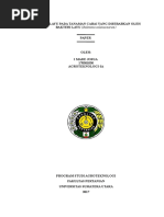 Download Penyakit Layu Pada Tanman Cabai Bakteri Ralstonia Solanaceaum Yang Paling Benar UDH BNR LA by Tengku Rasid SN365001909 doc pdf
