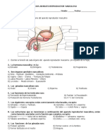 Evalucion Aparato Reproductor Masculino