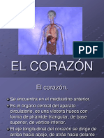 Corazon