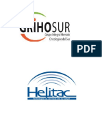 Logo Helitac y Grihosur