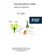 o-v-flor.pdf