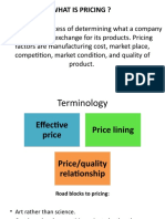 Pricing Is The Process of Determining What A Company