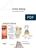 Rhinitis Alergi