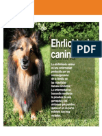 AV_25_Ehrlichiosis_canina.pdf