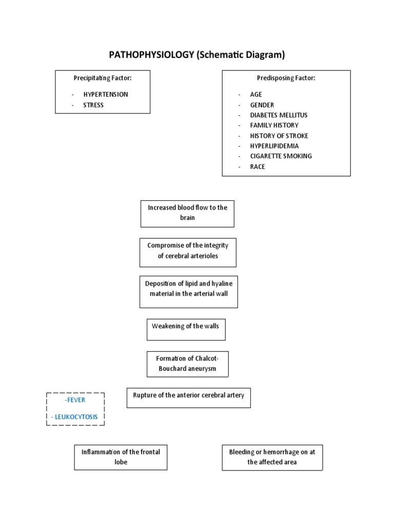PATHOPHYSIOLOGY (Schematic Diagram) : - Fever - Leukocytosis | PDF ...