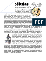 A Pesar de Que Las Células Se Consideran Como La Unidad Más Pequeña de Los Organismos Vivos