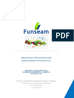 Informe Funseam