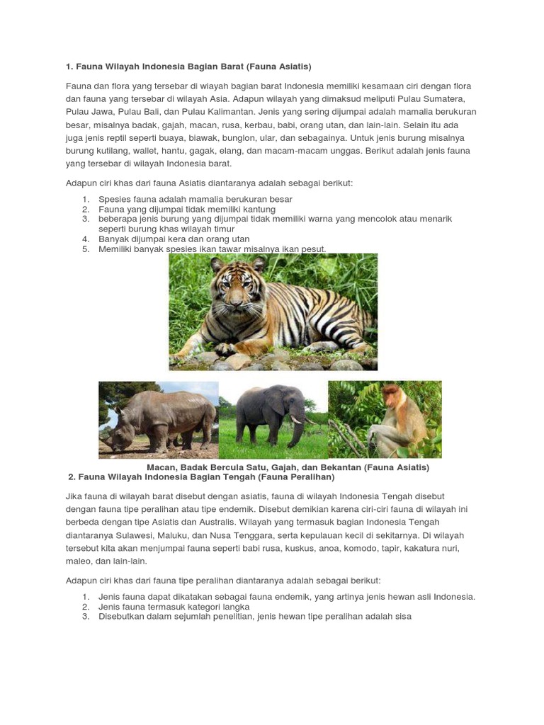 Mengapa  Jenis  Fauna  Indonesia Bagian Barat Tengah Dan 
