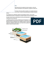 2.formación Del Carbón y 3tipos de Carbon y en El Peru