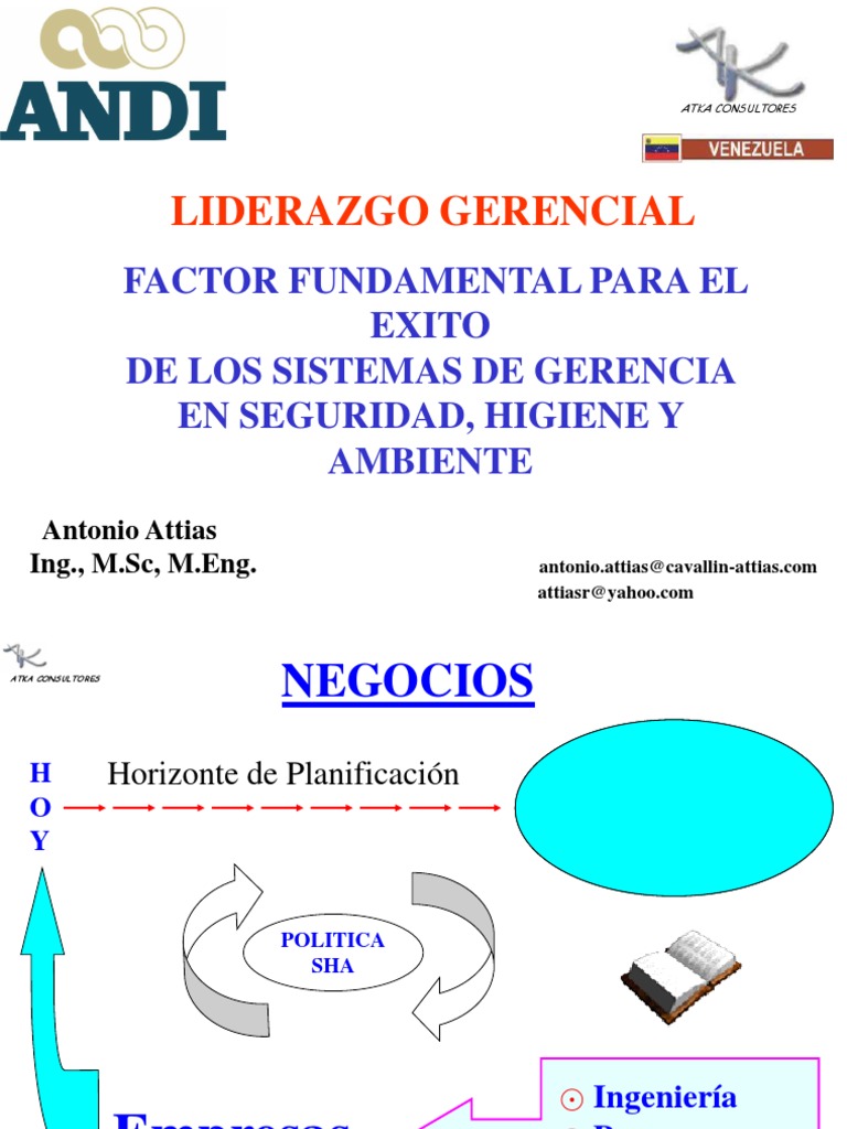 Éxito en Sistemas de Gerencia SHA | PDF | Liderazgo | Planificación
