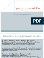 Aparato Digestivo y La Nutrición