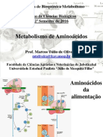 Aula8 Met-Aminoacidos Web