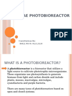 Algae Bioreactor