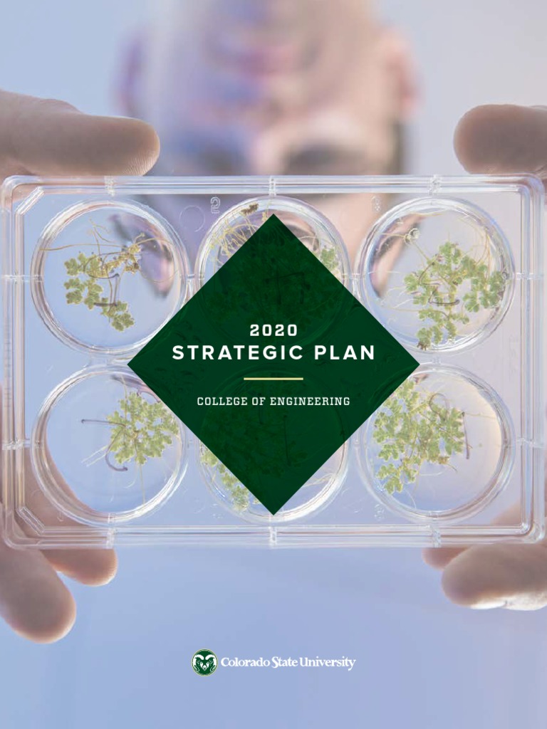 ENGINEERING STRATEGIC PLAN EXAMPLE visual data 3