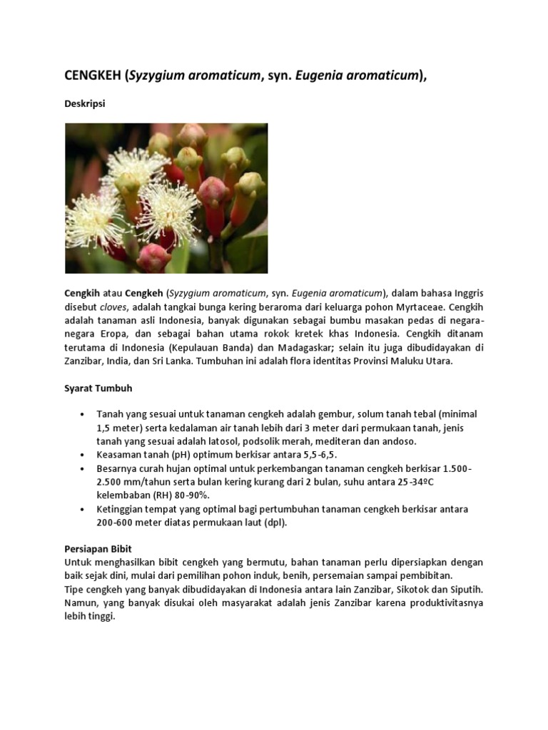 Download 9600 Koleksi Gambar Flora Cengkeh Paling Bagus 