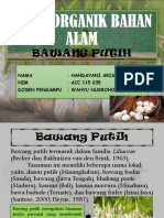 Bawang Putih