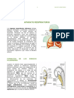 13° APARATO RESPIRATORIO.pdf