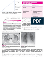 Síndrome Insuficiencia Respiratoria Aguda