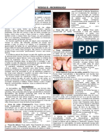 Doenças causadas por fungos: tineas e micose da virilha