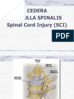 Cedera Medulla Spinalis Spinal Cord Injury (SCI)