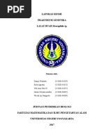 Download Laprak Mengenal Lalat Kelompok by Yuliana SN365067902 doc pdf