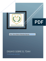 ENSAYO TDAH DORA MARIA Maestria PDF