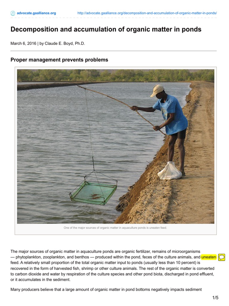Decomposition and Accumulation of Organic Matter in Ponds | PDF ...