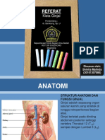 Referat Renal Cyst Shintia