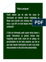 plantas_toxicas.pdf